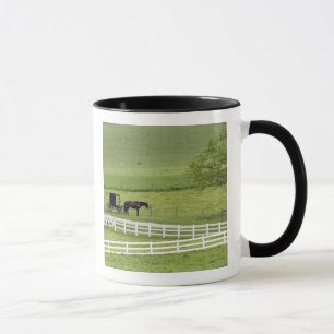 Tasse Ferme Amish avec cheval et buggy près de Berlin,