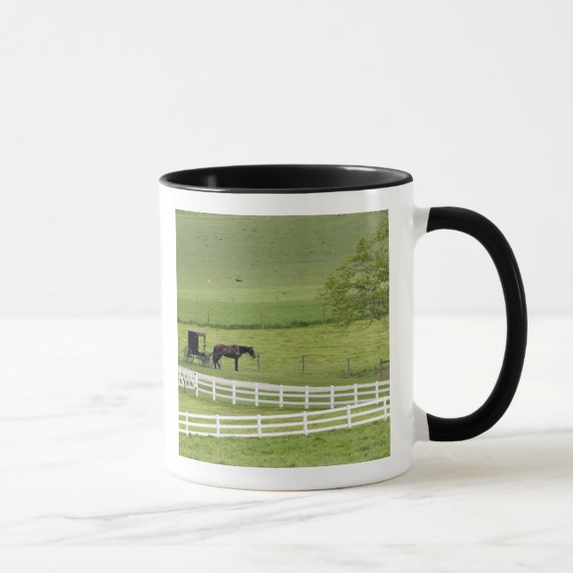 Tasse Ferme Amish avec cheval et buggy près de Berlin, (Droite)