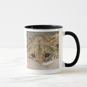 Tasse Fermez-vous du visage de petit animal de lion