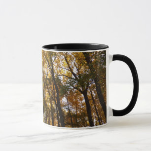 Tasse Feuilles d'automne dans le matin Maryland Nature
