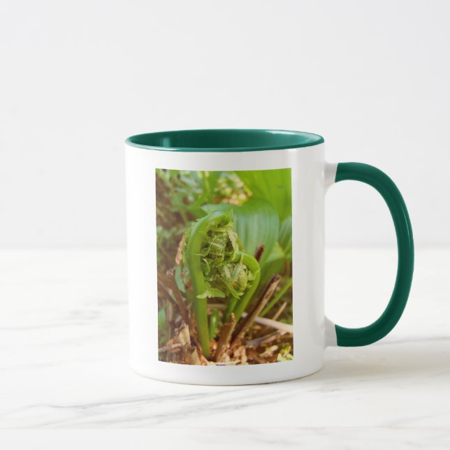 Tasse Fiddleheads (Droite)