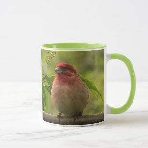Tasse Finch pourpre