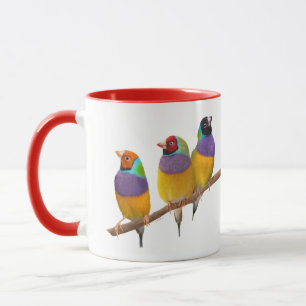 Tasse Finches gouldiennes colorées dans les Pastels