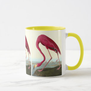 Tasse Flamant rose américain, John James Audubon