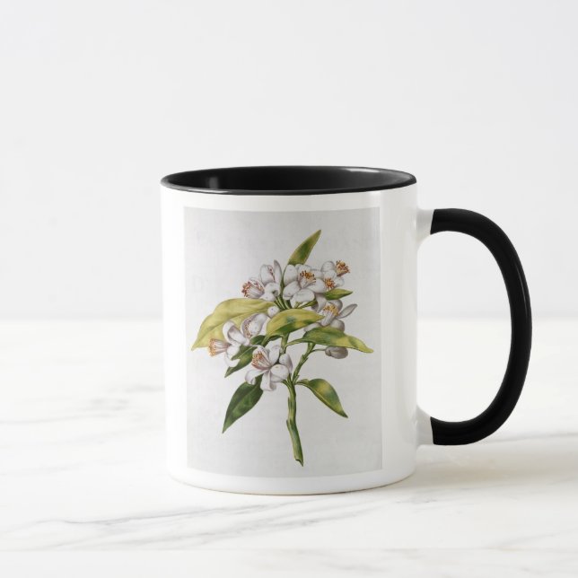 Tasse Fleur d'arbre orange, de 'La Guirlande de Julie' (Droite)
