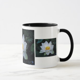 Tasse Fleur de Lotus