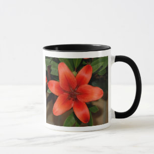 Tasse Fleur Lily orange parfaite