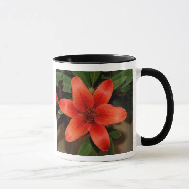 Tasse Fleur Lily orange parfaite (Droite)