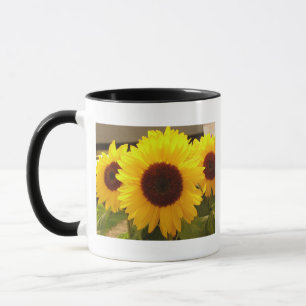 Tasse Fleurs de soleil