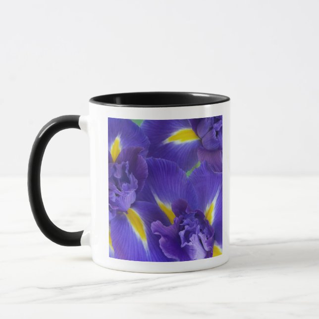Tasse Fleurs d'Iris (Gauche)