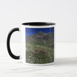 Tasse Fleurs sauvages, en fleurs, Alpes, Suisse