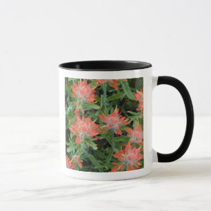 Tasse fleurs sauvages indiens en pinceau dans les nombre