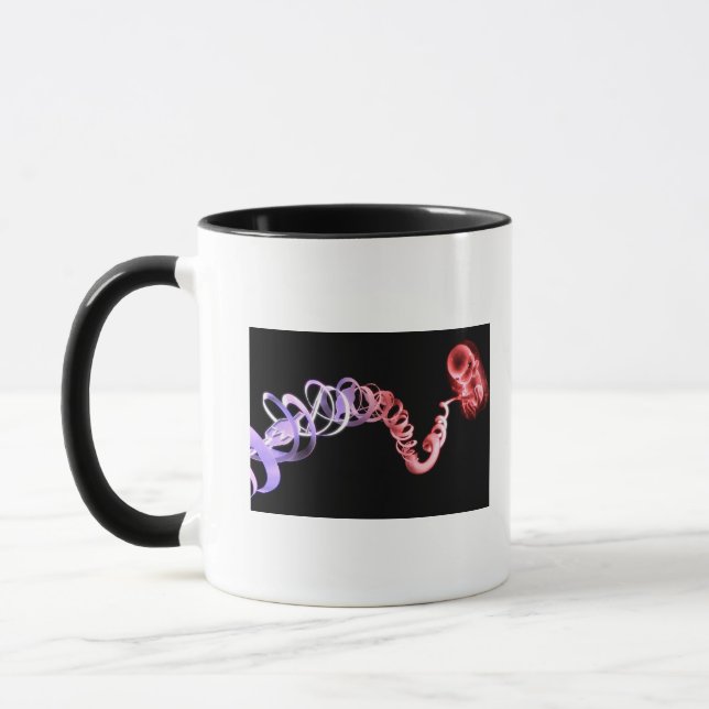 Tasse Foetus avec un cordon ombilical fait de brins (Gauche)