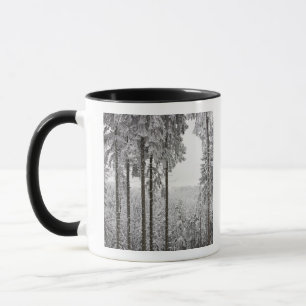 Tasse Forêt à feuillage persistant en hiver
