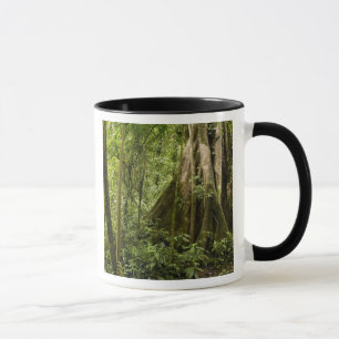 Tasse Forêt nuageuse, Bosque de Paz, Costa Rica