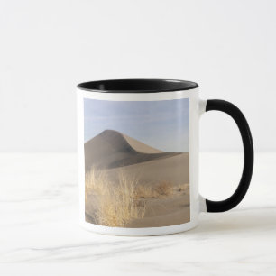 Tasse Formations de dunes de sable. Bruneau Dunes State
