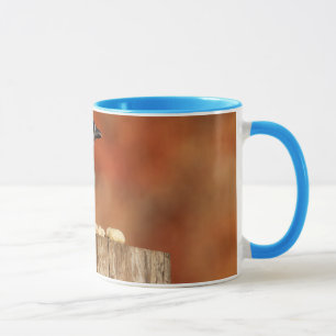 Tasse Geai bleu