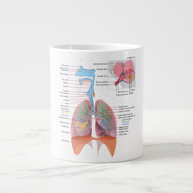 Tasse Géante Anatomie Mug-Respiratoire (Devant)