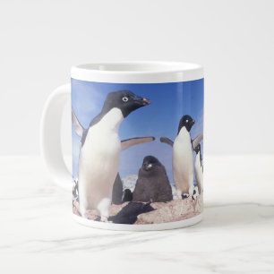 Tasse Géante Antarctique, Adelie Penguin Pygoscelis