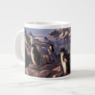 Tasse Géante Antarctique, poussins de pingouin d'Adelie