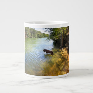 Tasse Géante Chien à Ladybird Lake - Centre-ville d'Austin Texa