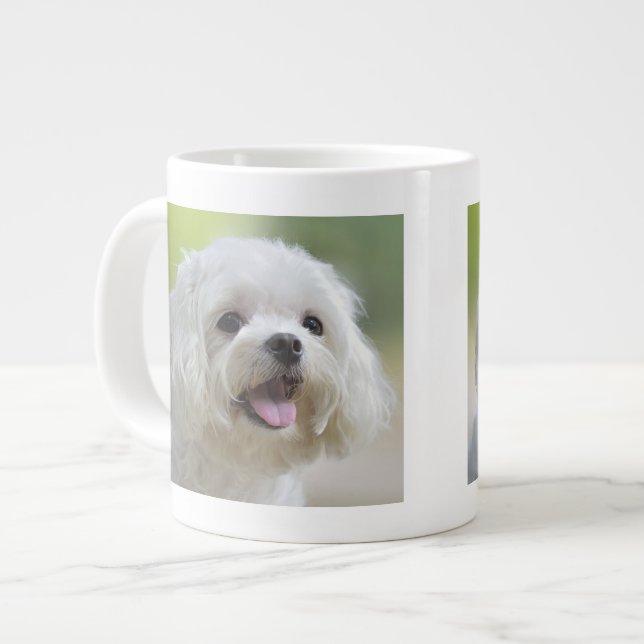 Tasse Géante Chien maltais blanc (Devant gauche)