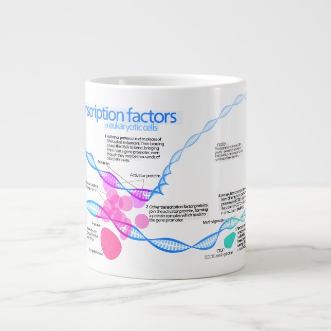 Tasse Géante Diagramme des facteurs de transcription des gènes (Devant)