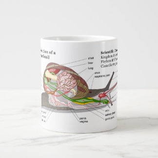 Tasse Géante Diagramme d'un escargot de jardin commun (aspersa