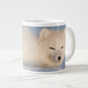 Tasse Géante États-Unis, Alaska, Fox