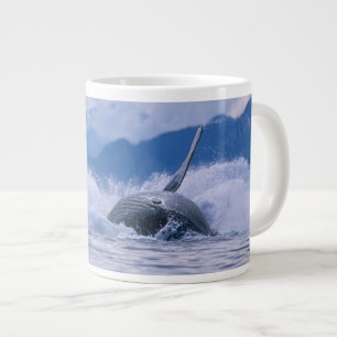 Tasse Géante États-Unis, Alaska, Tongass National Forest, Bossu
