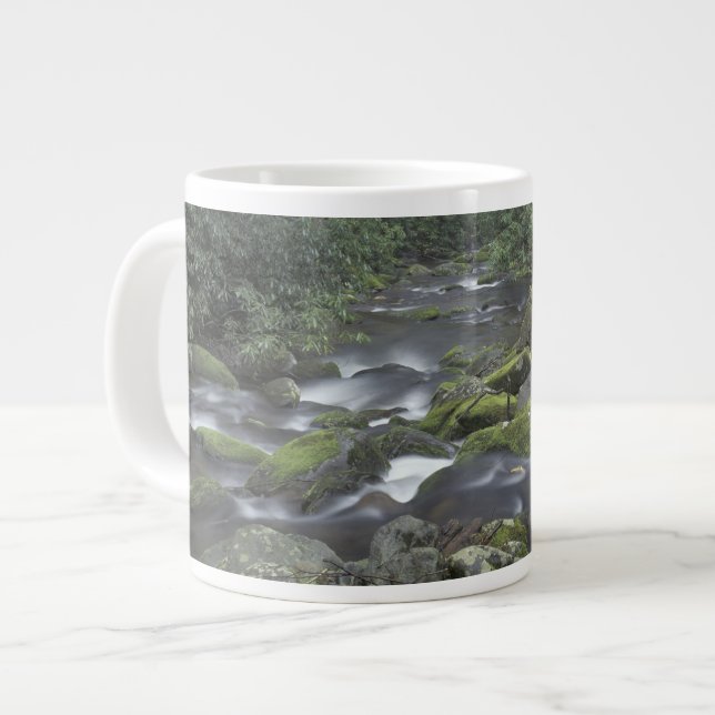 Tasse Géante États-Unis, Tennessee, Great Smoky Mountains Natio (Devant gauche)
