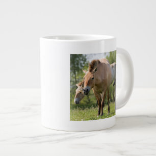 Tasse Géante Horse et foal walking