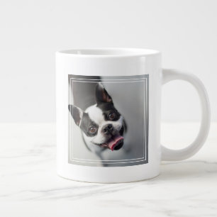 Tasse Géante Images Getty   French Bulldog