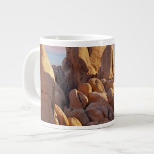 Tasse Géante Les Etats-Unis, la Californie, parc national