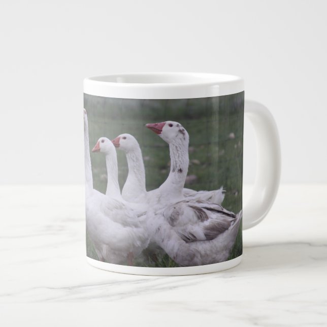 Tasse Géante Musique de canard (Devant droit)