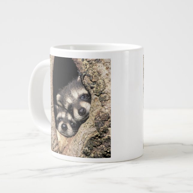 Tasse Géante Ratons laveurs dans la cavité de l'arbre Procyon (Devant gauche)