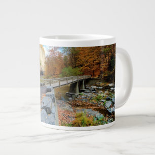 Tasse Géante Taughannock tombe parc d'état