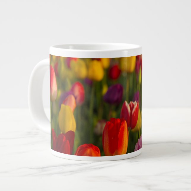 Tasse Géante Tulips, Tulip Festival, Woodburn, Oregon, USA 2 (Devant gauche)