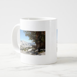 Tasse Géante Vieil arbre au parc national de Yosemite