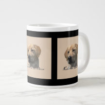 Yellow Labrador Retriever