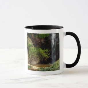 Tasse Ghana : chutes de Wli, également appelées chutes d