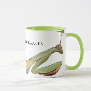 TASSE GINORMOUS MANTIS