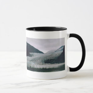 Tasse Glacier d'Alaska