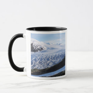 Tasse Glacier Exit dans le parc national des fjords de K
