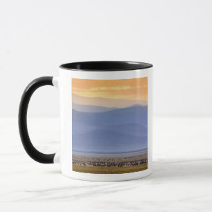 Tasse Gnou pendant la migration, Connochaetes