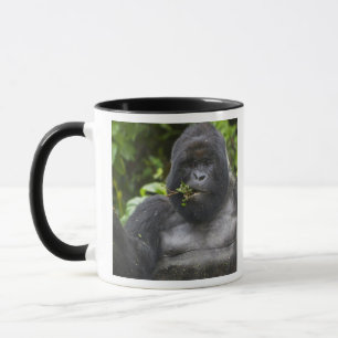 Tasse Gorille des montagnes et dos argenté