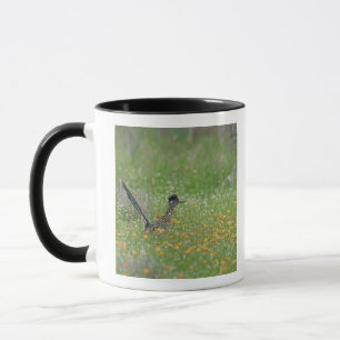 Tasse Grand Géocoucou, Geococcyx