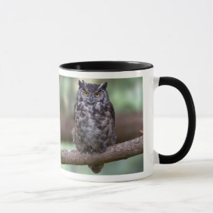 Tasse Grand hibou à cornes