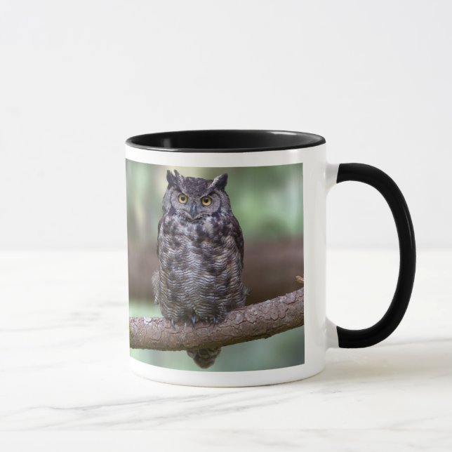 Tasse Grand hibou à cornes (Droite)