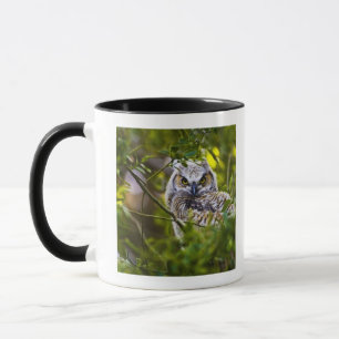 Tasse Grand jeune hibou à cornes
